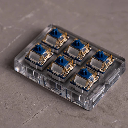 6 magnetic switches lined up in a clear plastic holder