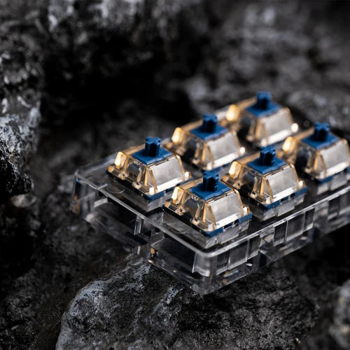 close of up blue magnet switches in plastic clear holder