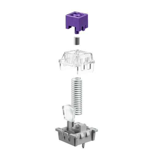 An exploded view of a mechanical keyboard switch showing its individual components: a purple purple top cap, a silver metal stem, a clear plastic plate, a silver coil spring, and a gray bottom base, set against a solid white background.